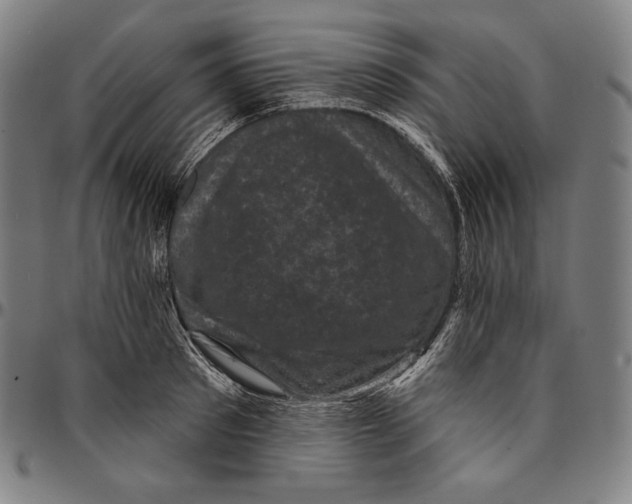 X0000095110897200801041157