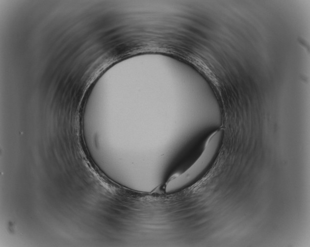 X0000095110898200801041157