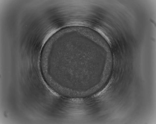 X0000095110901200801041157