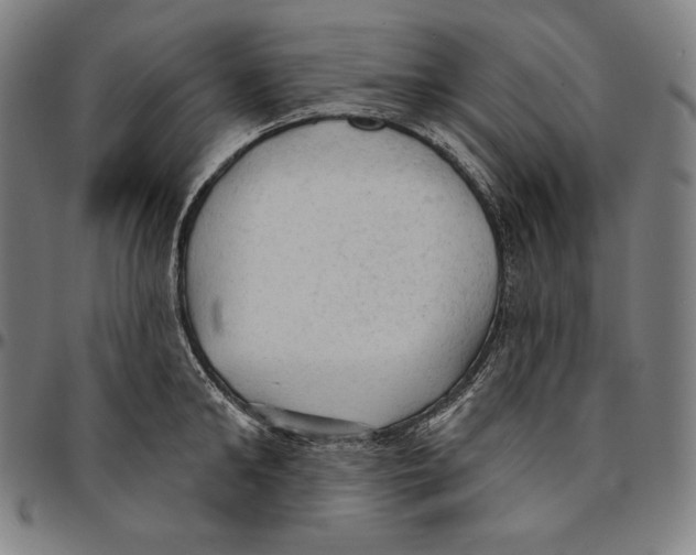 X0000095110902200801041157