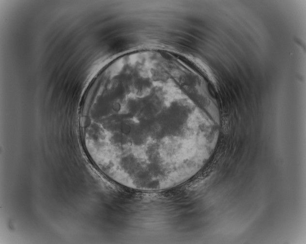X0000095110903200801041157