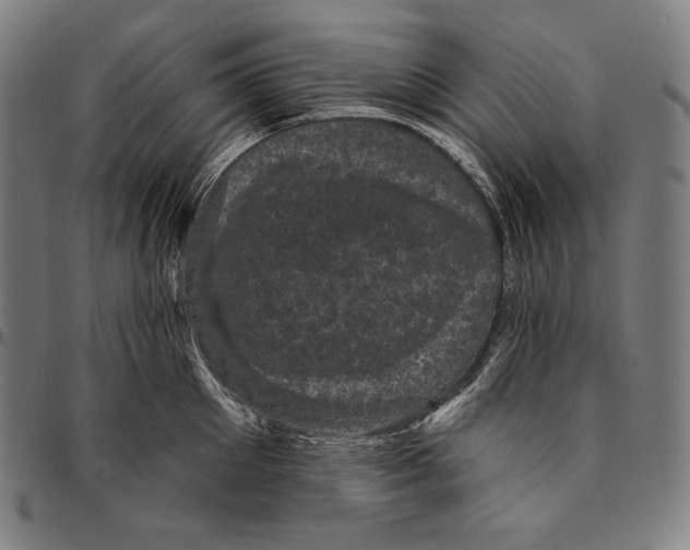 X0000095110905200801041157