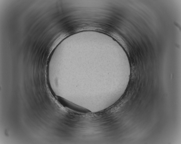 X0000095110906200801041157