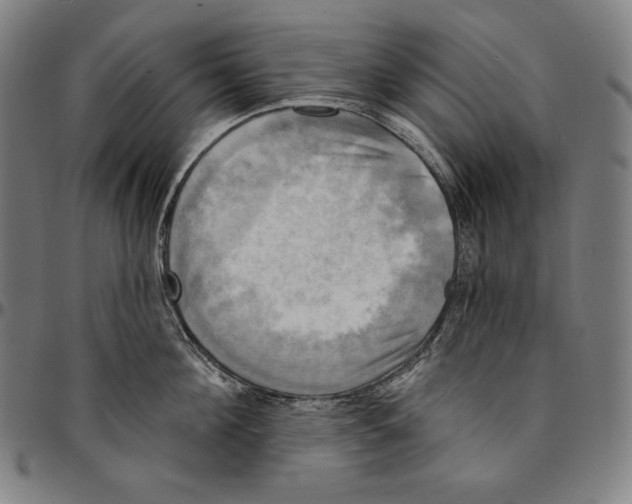 X0000095110908200801041157