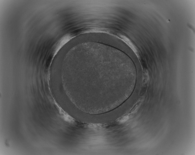 X0000095110909200801041157