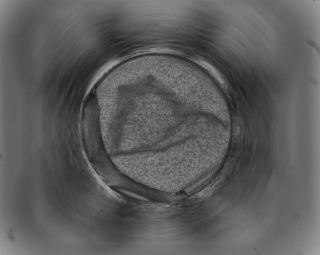 X0000095110910200801041157