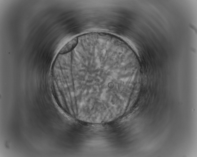X0000095110911200801041157