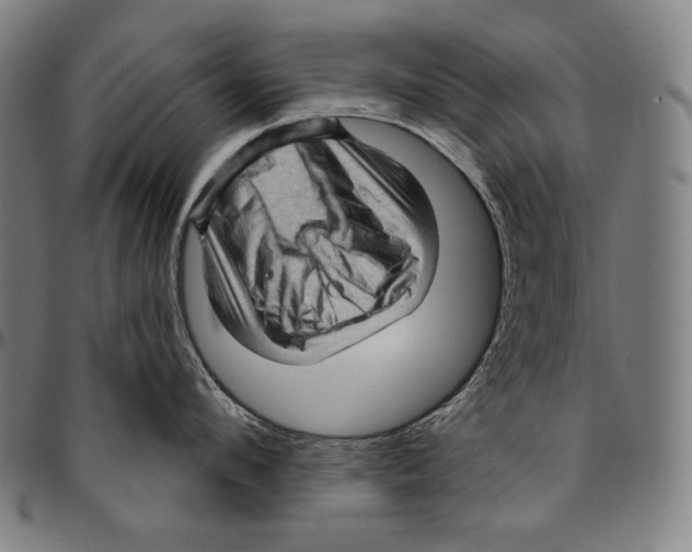 X0000095110912200801041157