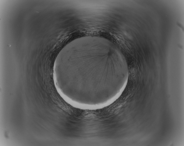X0000095110913200801041157