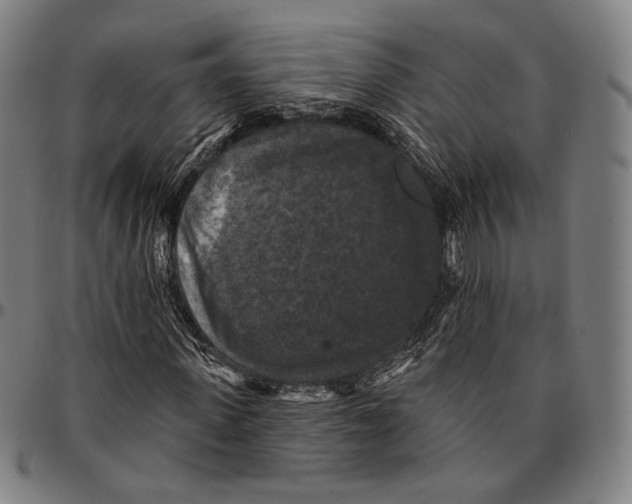 X0000095110915200801041157