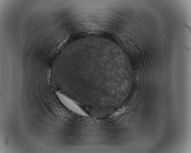 X0000095110916200801041157
