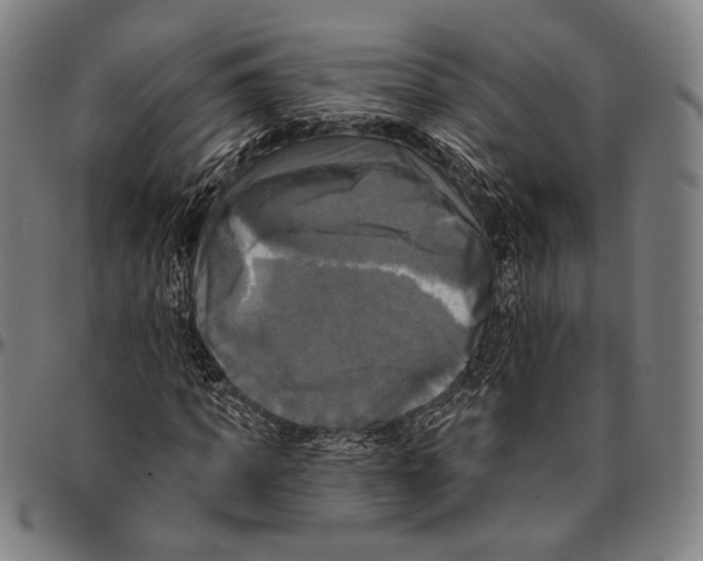 X0000095110917200801041157