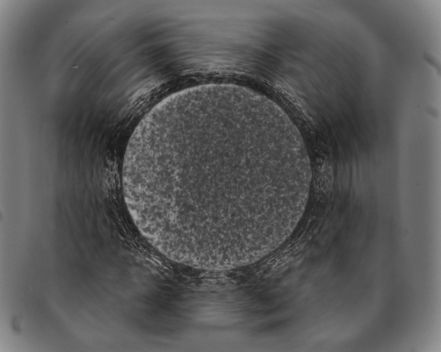 X0000095110918200801041157