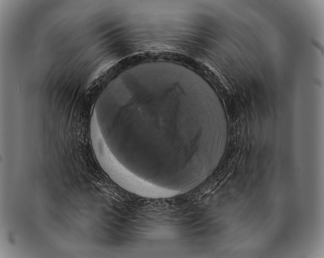 X0000095110919200801041157