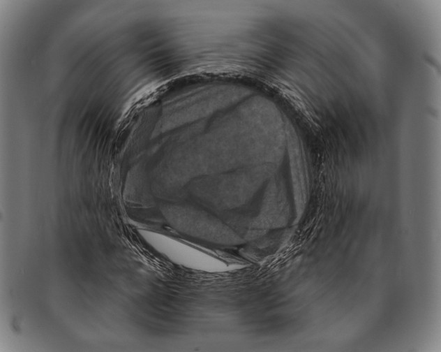 X0000095110920200801041157