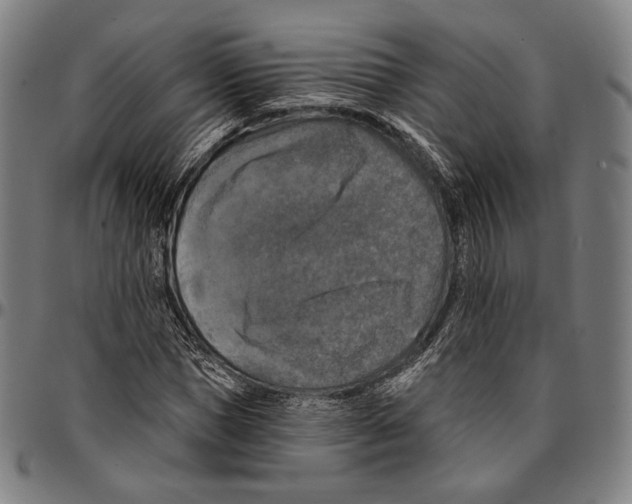 X0000095110921200801041157