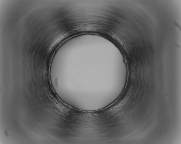 X0000095110922200801041157