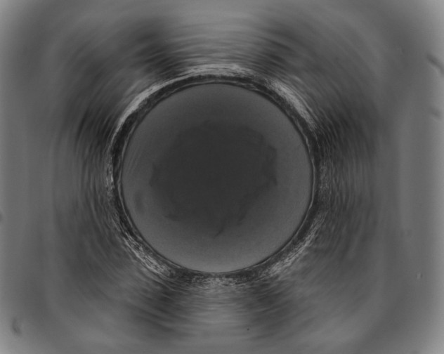 X0000095110923200801041157