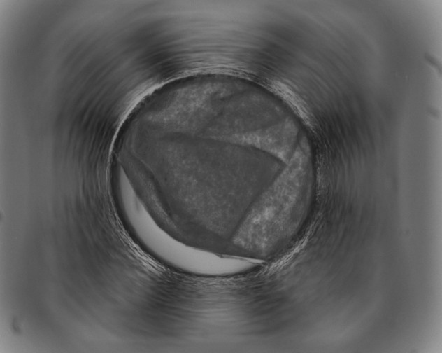 X0000095110924200801041157