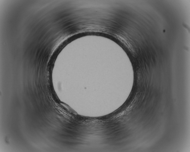X0000095110926200801041157