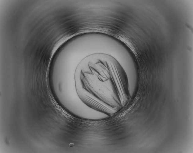 X0000095110928200801041157