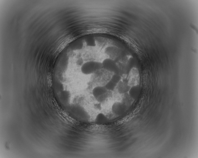 X0000095110929200801041157