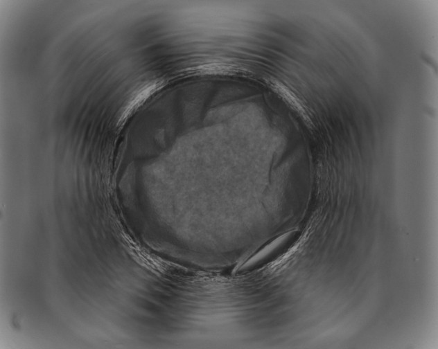 X0000095110930200801041157