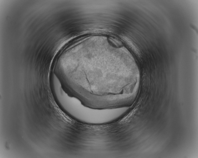 X0000095110932200801041157