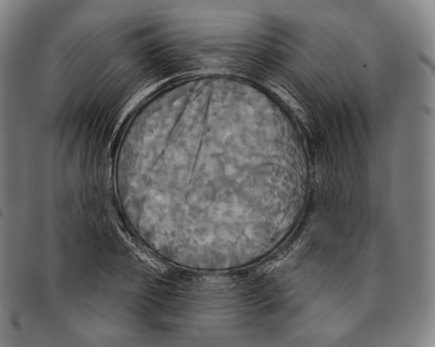 X0000095110933200801041157