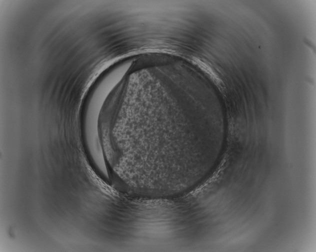 X0000095110934200801041157