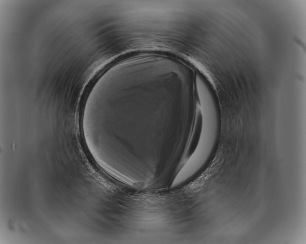 X0000095110935200801041157