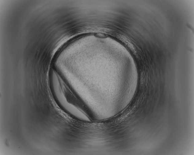 X0000095110936200801041157