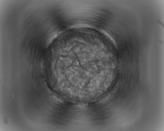 X0000095110937200801041157