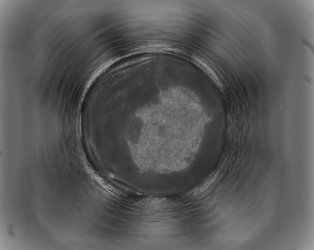X0000095110939200801041157