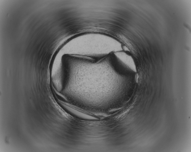 X0000095110940200801041157