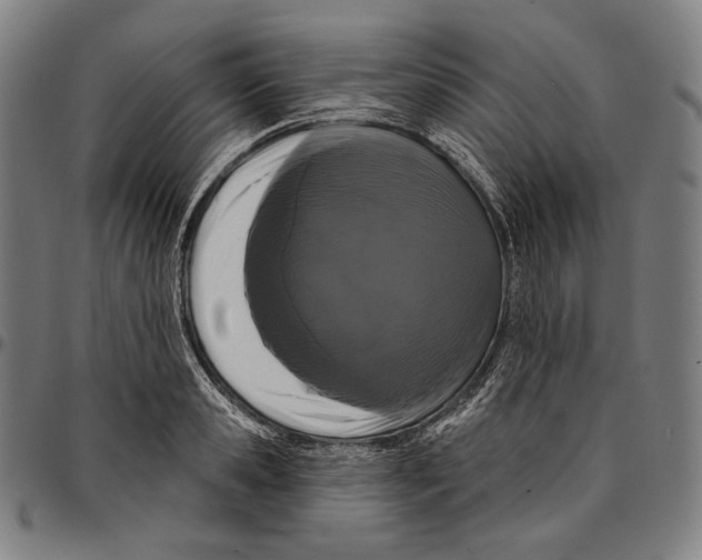 X0000095110941200801041157