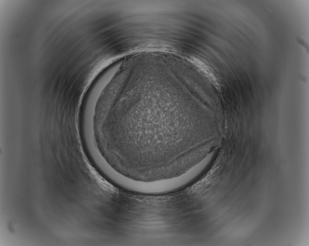 X0000095110942200801041157