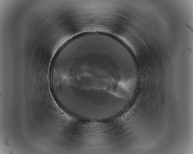 X0000095110943200801041157