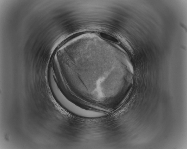 X0000095110944200801041157