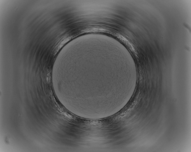 X0000095110945200801041157
