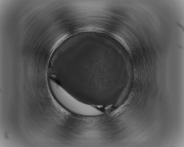X0000095110946200801041157