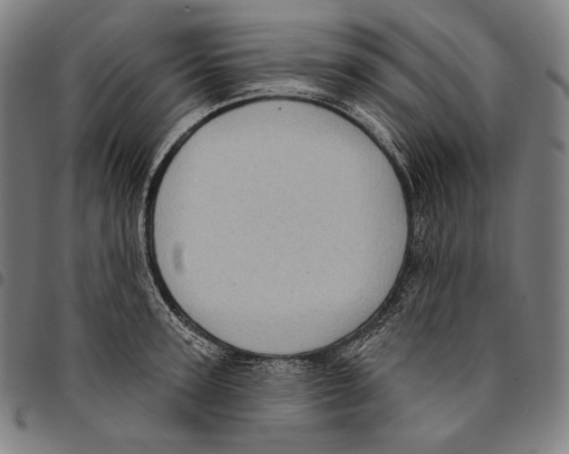 X0000095110947200801041157