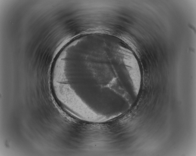 X0000095110949200801041157