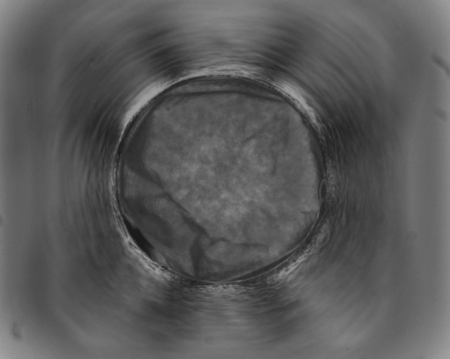 X0000095110952200801041157