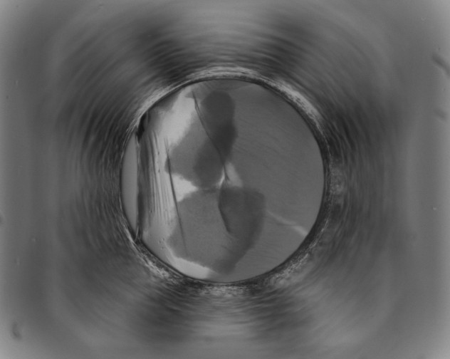 X0000095110953200801041157