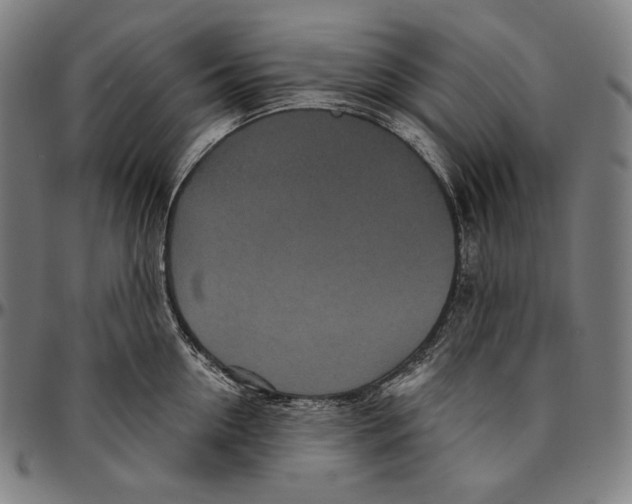 X0000095110954200801041157