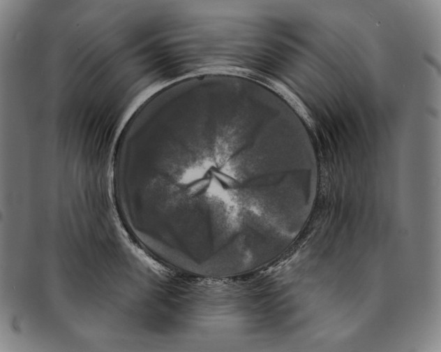 X0000095110955200801041157