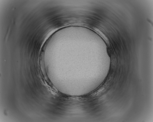 X0000095110956200801041157