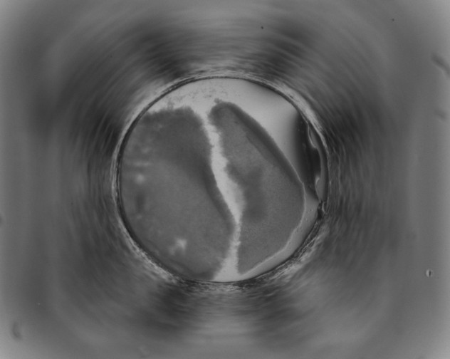 X0000095110957200801041157