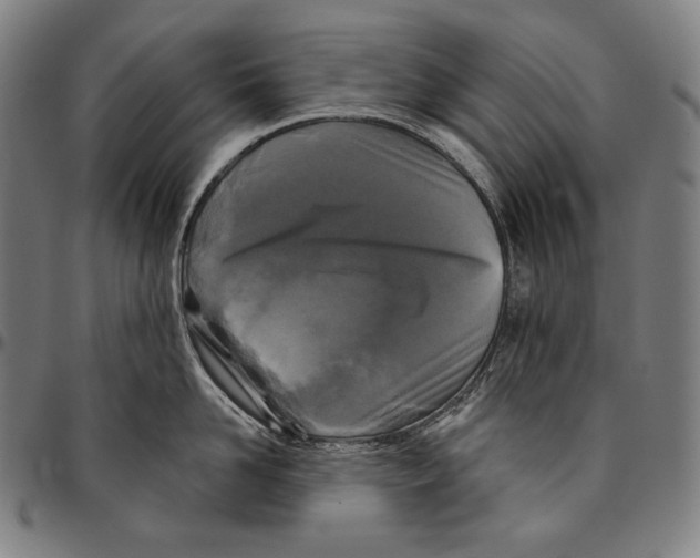 X0000095110958200801041157